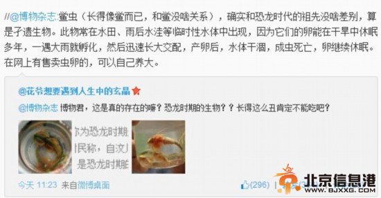 专家确认四川半虾半鱼生物系三眼恐龙虾 此“怪”是和恐龙同时代的物种