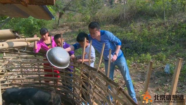 乃爸甜心哈尔滨街头引围观王中磊教儿子喂猪