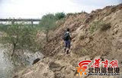 陕西推土机施工摧毁燕子窝 众多雏燕被活埋