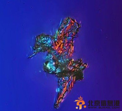 霾长什么样？<a href='http://www.bjxxg.cn/news/beijing/' target='_blank'><u>北京</u></a>雾霾放大1000倍图片引震惊