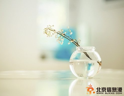 水苏糖服用后真实案例反馈 揭开水苏糖的真实面纱