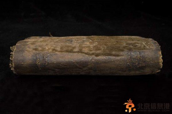 世界首本人皮书取材于<a href='http://www.bjxxg.cn/health/liangxing/' target='_blank'><u>女人</u></a>背部 仔细看能看到人的毛孔（高清图）