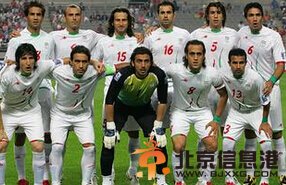 2014巴西世界杯F组解析 非洲雄鹰面目全非恐遭蹂躏