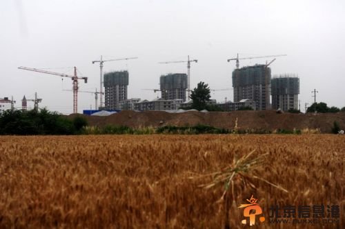 驻马店麦田建政府楼 迎风兴建与“八项规定”相悖