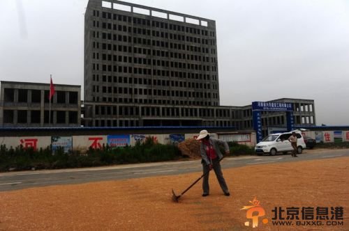 驻马店麦田建政府楼 迎风兴建与“八项规定”相悖