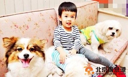 孙俪儿子抱狗狗合影 娘娘呼吁抵制玉林狗肉节