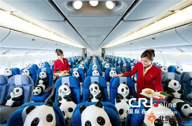 组图：1600只纸熊猫乘坐飞机到达香港
