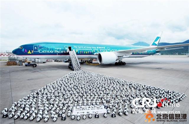 组图：1600只纸熊猫乘坐飞机到达香港
