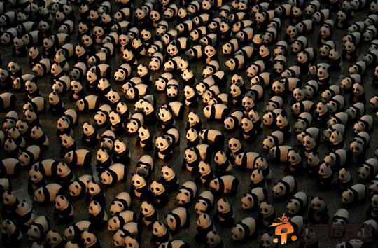 1600只纸熊猫亮相香港机场上演“快闪”【图】