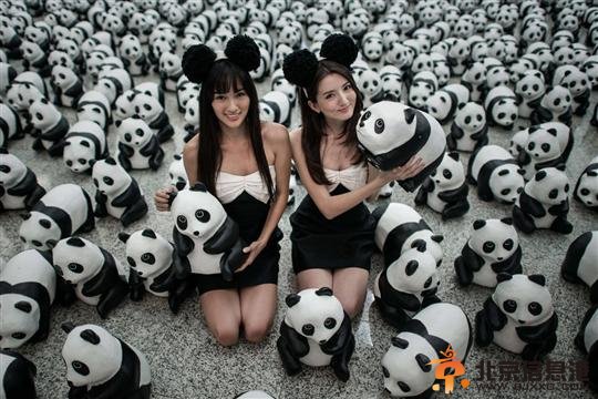 1600只纸熊猫亮相香港机场上演“快闪”【图】