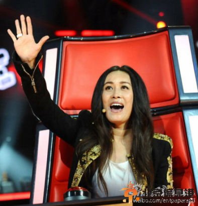 《中国好声音》第三季导师名单出炉:罗大佑那英杨坤汪峰助阵 庾澄庆缺席