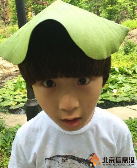 天天张悦轩晒呆萌“江南”照 网友:你爸爸张亮造吗?