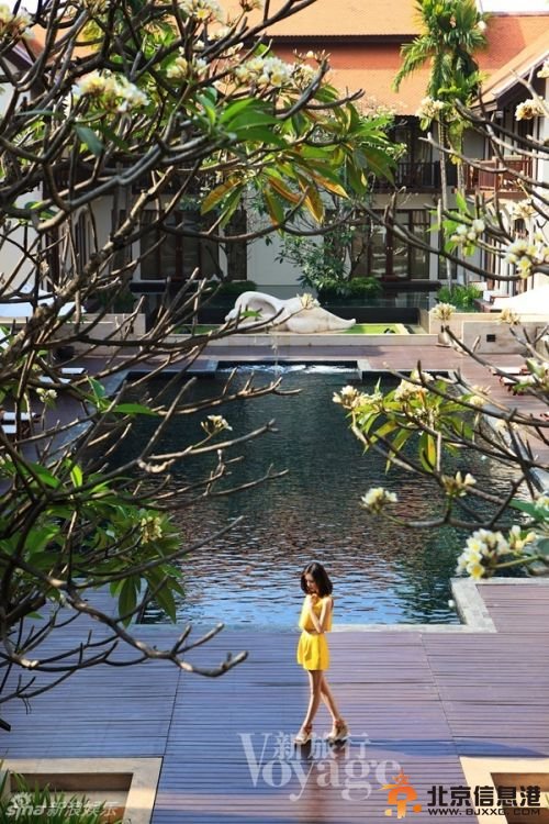 002197cf8da51500b97325