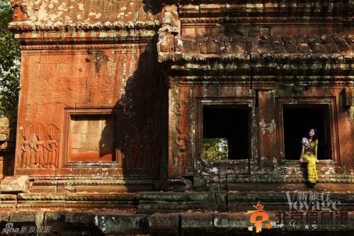 002197cf8da51500b97329