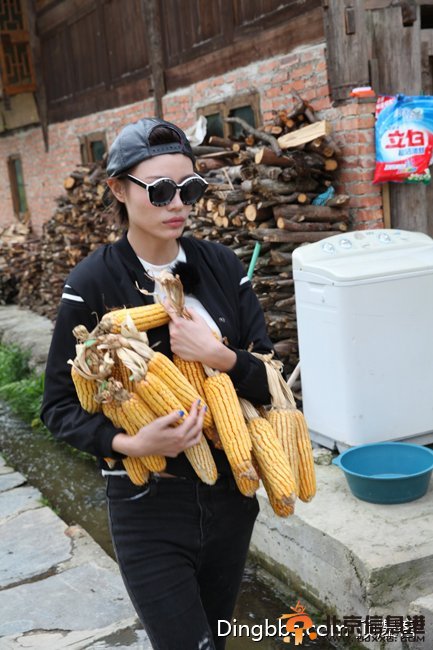 《花样年华2》葛荟婕退出 《爱情公寓》诺澜扮演者刘萌萌或将加入