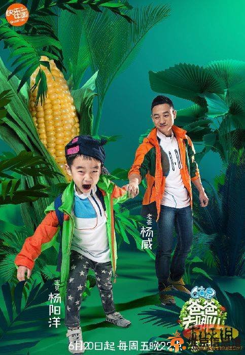 《爸爸去哪儿2》爸爸闯蜂房找食材 杨威自曝儿子杨阳洋喜欢黄磊女儿多多