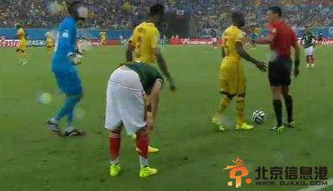 2014巴西世界杯A组墨西哥1比0力克喀麦隆紧咬巴西