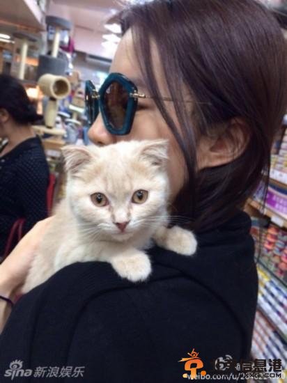 刘亦菲抱猫显狂野 网友喊话喵星人：放开女神让我来！【图】