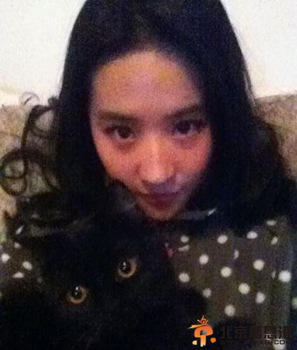 刘亦菲抱猫显狂野 网友喊话喵星人：放开女神让我来！【图】
