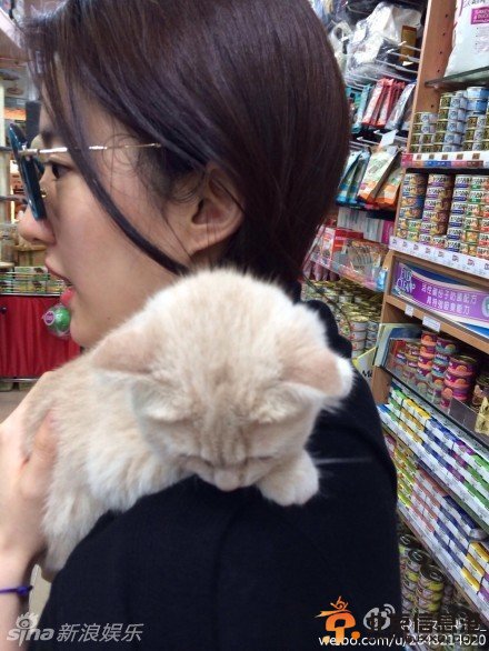刘亦菲抱猫爱不释手 粉丝嫉妒但愿自己是猫【组图】