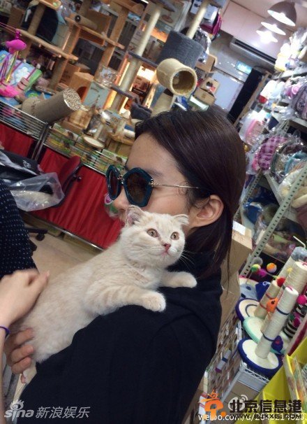 刘亦菲抱猫爱不释手 粉丝嫉妒但愿自己是猫【组图】