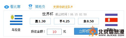 2014巴西世界杯乌拉圭VS哥斯达黎加 一球球半防平