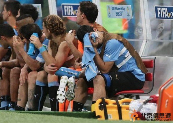 老迈弗兰无作为被换下 痛苦苏神替补席掩面哭泣