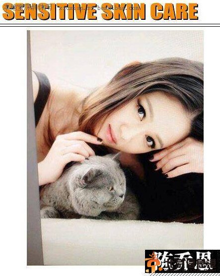 组图：刘亦菲潮装抱猫现身 粉丝大呼愿变喵星人 