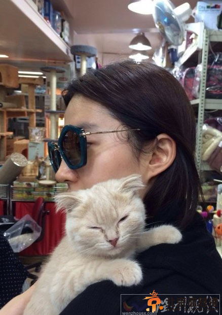 刘亦菲抱猫照萌倒众粉丝  女神曾经多次被曝是变性人（组图）