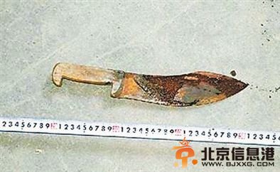 约30厘米长的尖刀。