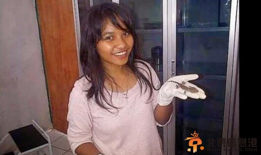 荒诞！印尼女子被曝产下一只壁虎婴儿【图】