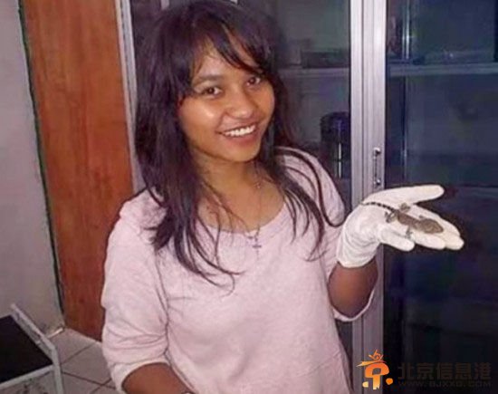 印尼女子产下一只壁虎 医生质疑其真实性
