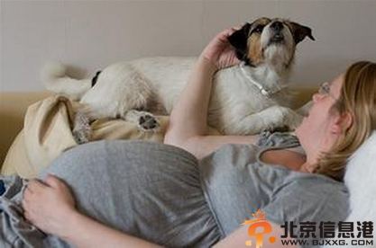 感染弓形虫的症状 孕妇感染弓形虫的治疗方法介绍