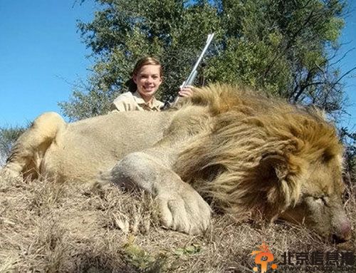 少女猎杀非洲野生动物开心合影图片 Kendall Jones遭众人谴责