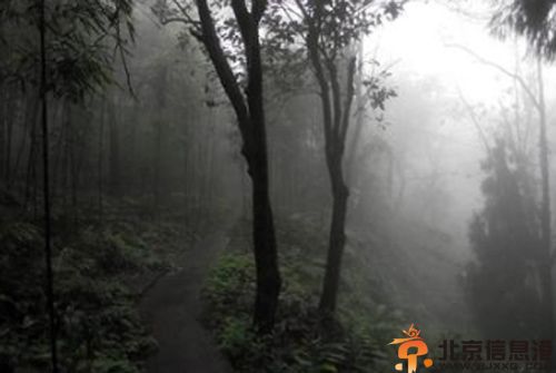 加油站的怪事 短篇鬼故事两则