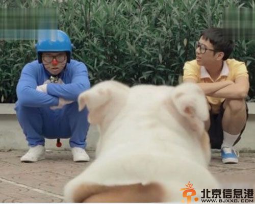 越南真人版哆啦a梦视频图片遭热议 网友直呼无力吐槽