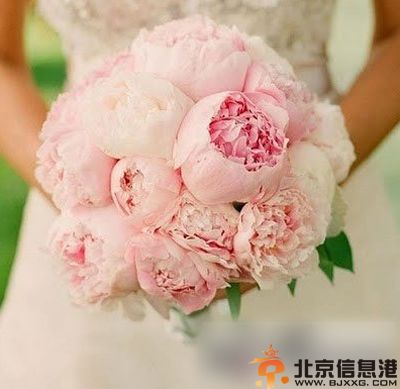 新娘手捧花图片欣赏 浪漫玫瑰点缀浪漫时刻