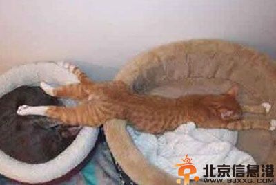 搞笑图片致伟大的爱情 这大概是这段感情最困难之处