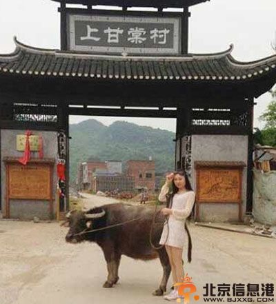 亮点图我已经凌乱了 二货你妈喊你回家吃饭了