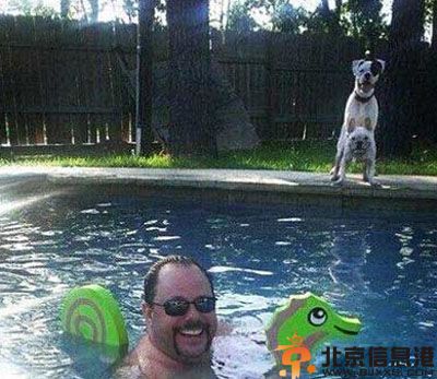 搞笑图片好高端的招生处 只怪面条太长