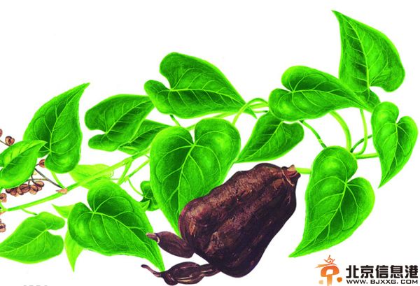 贫血的人吃什么好 选择食疗方法效果好