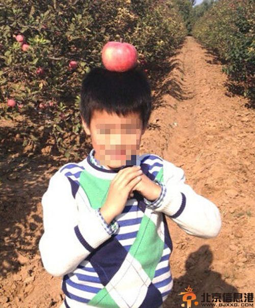 大宋佳有几个孩子 揭6岁儿子张帅帅照片及女儿张楚楚资料