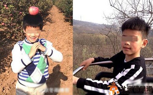 大宋佳有几个孩子 揭6岁儿子张帅帅照片及女儿张楚楚资料