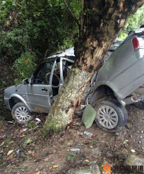 湖南驾校教练飙车泄愤致3人死亡 爆现场图片只因未过驾考无奖金