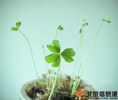 天秤座2014整体运势 你今年的运气还好吗
