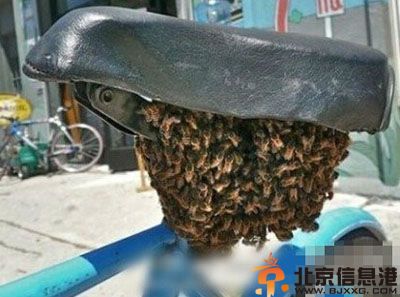 搞笑图片我的世界观不会好了 请戳瞎我的双眼