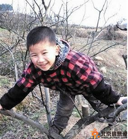 11学生围殴8岁龄童致死 闲来无事围殴原因引发争议