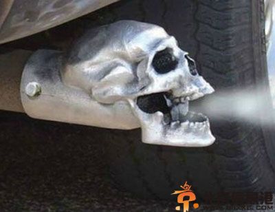 搞笑图片看阿喵的拍照拼星星 友情就这样走到了尽头