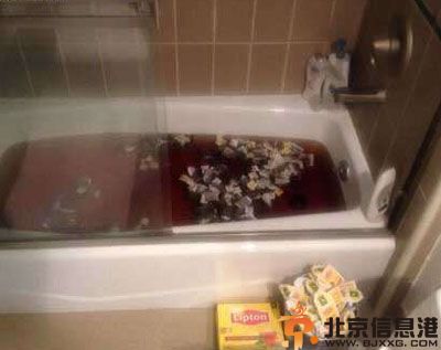 搞笑图片看阿喵的拍照拼星星 友情就这样走到了尽头