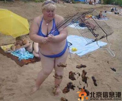 搞笑图片看阿喵的拍照拼星星 友情就这样走到了尽头
